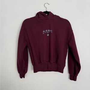 Zara Maroon Hoodie Sweater